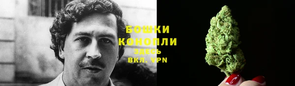 сатива Навашино