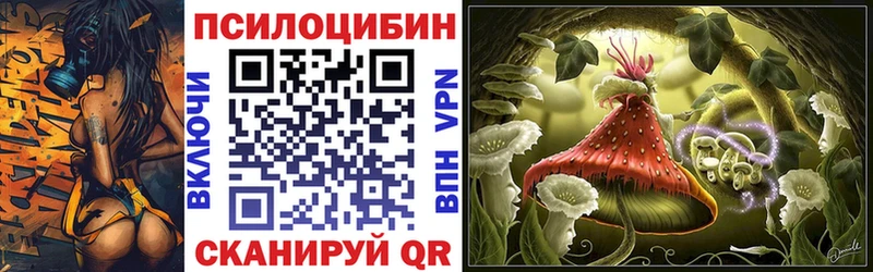 Галлюциногенные грибы Psilocybe  как найти закладки  Родники 